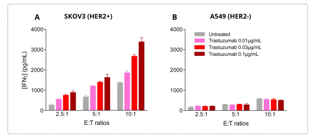 IFN𝜸 release by activated NK cells is induced against tumor cells and is optimized by anti-tumor antigen antibodies