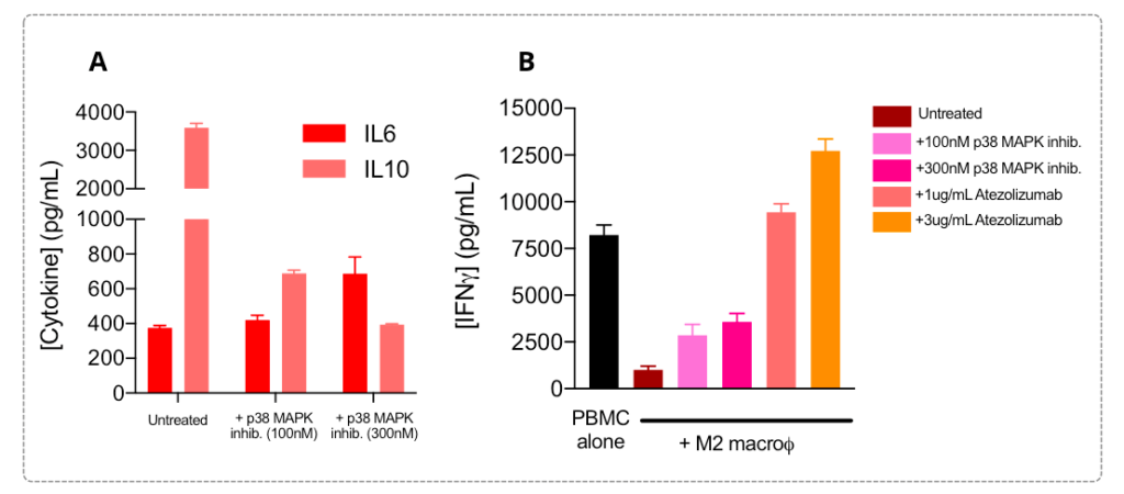 M2 macrophage phenotype and its mediated T cell response immunosuppression are reversed by molecular pathway modulators and immune checkpoint inhibitors