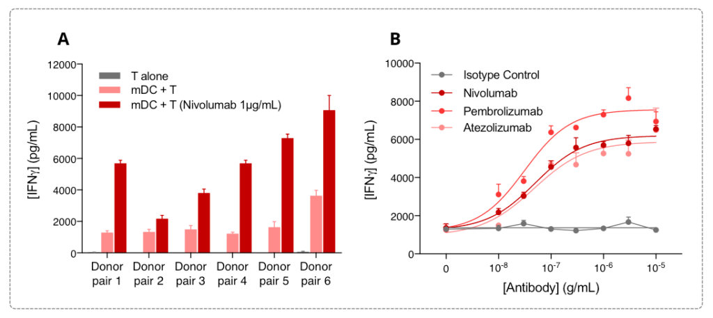 T cell IFN𝜸 release is induced in a MLR assay and further optimized by immune checkpoint inhibitors