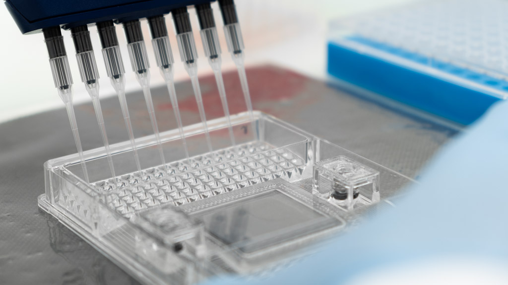 Explicyte Becomes an Olink®-Certified Service Provider to Expand Its Biomarker Discovery Capabilities