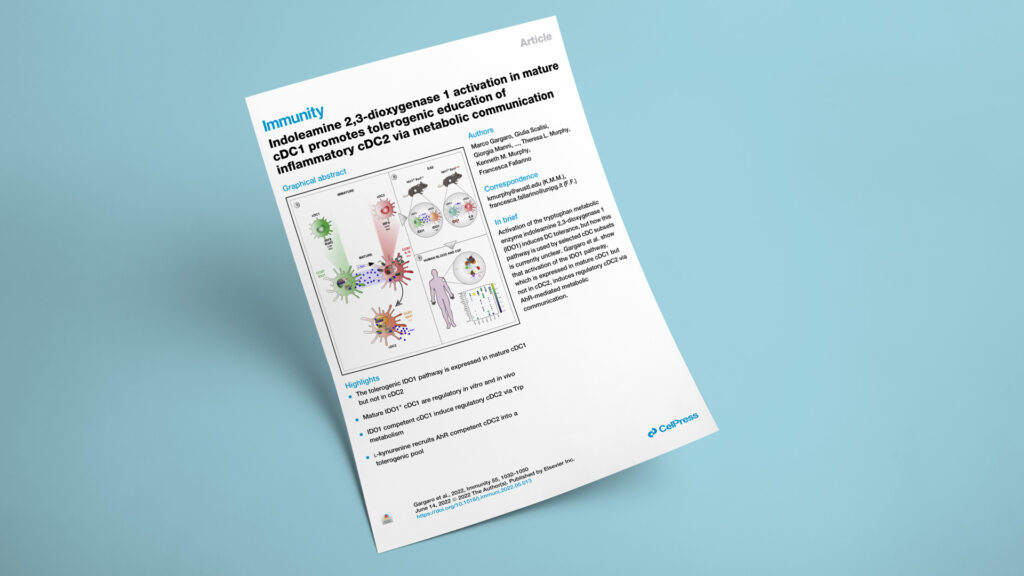 Indoleamine 2,3-dioxygenase 1 activation in mature cDC1 promotes tolerogenic education of inflammatory cDC2 via metabolic communication