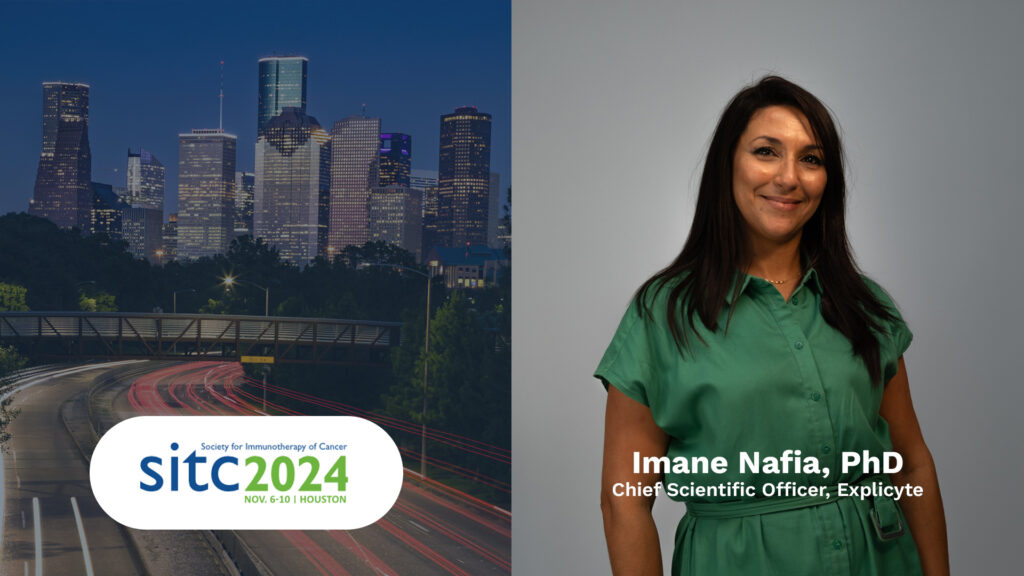 SITC 2024