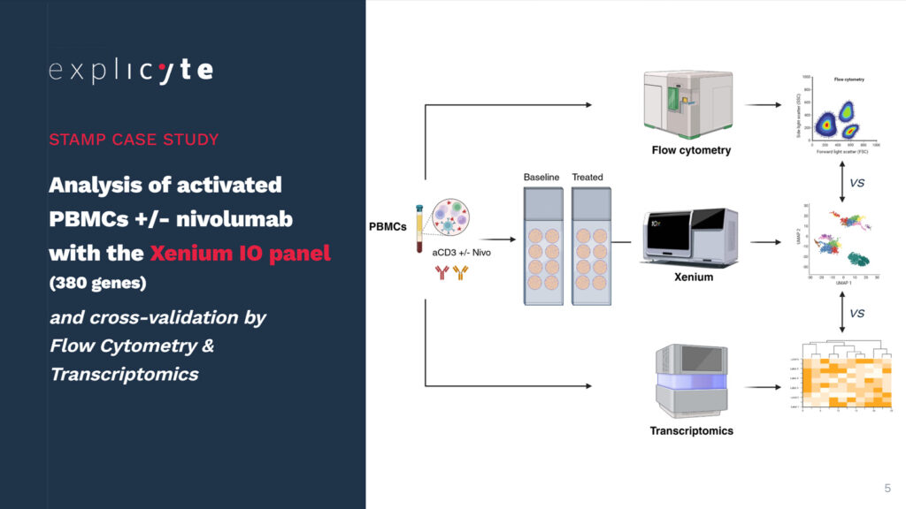 Analysis of activated PBMCs +/- nivolumab with the Xenium IO panel (380 genes) and cross-validation by Flow Cytometry & Transcriptomics