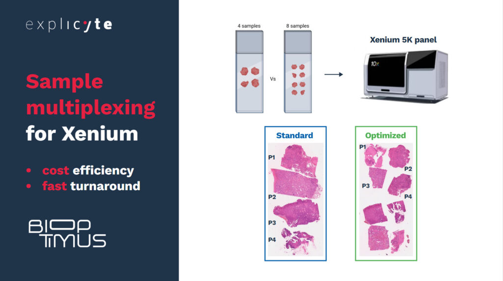 Sample multiplexing for Xenium – Bioptimus x Explicyte Case Study