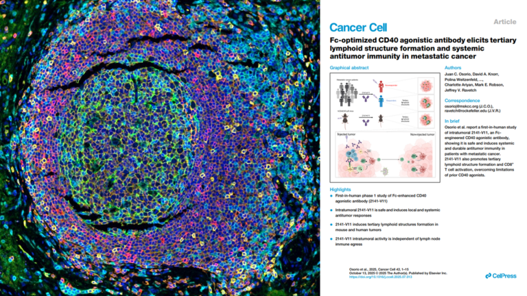 Fc-optimized CD40 agonistic antibody elicits tertiary lymphoid structure formation and systemic antitumor immunity in metastatic cancer