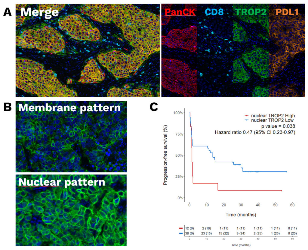 TROP2 target expression profiling NSCLC CRO services explicyte