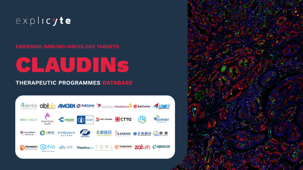 Anti-Claudin Therapeutic Programs in Oncology – 2026 Database Available