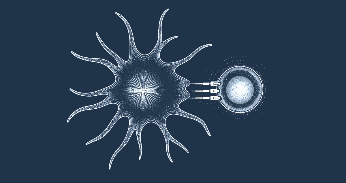 immune function modulation assays CRO service