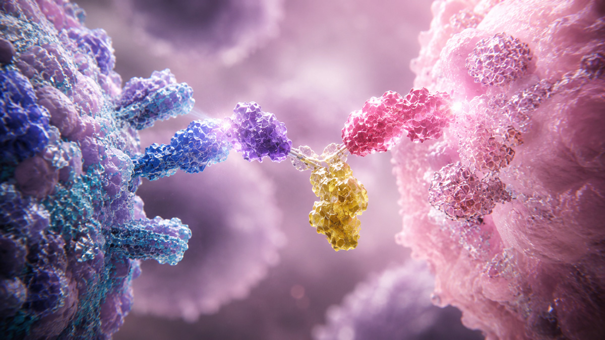 multispecifics & t-cell engagers assays oncology CRO services
