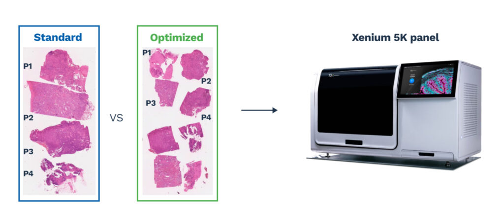 oncology target identification single cell spatial transcriptomics CRO