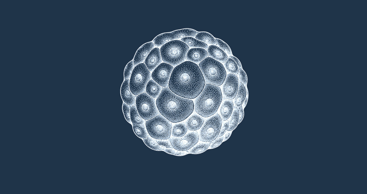 patient(derived 3D tumor models organoids fragments oncology CRO services