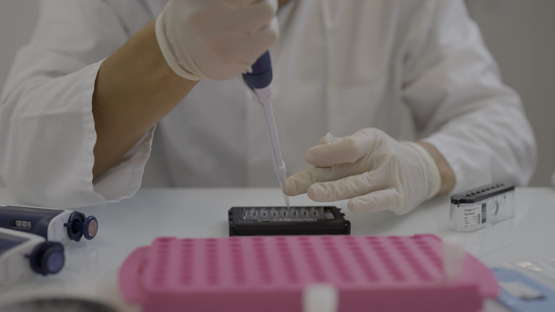 preclinical oncology services CRO