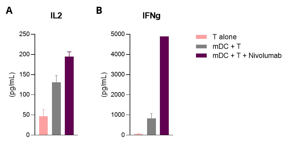 Mixed leukocyte reaction (MLR) in allogenic human mDC/CD4 T cell co-cultures is enhanced upon PD1 inhibition