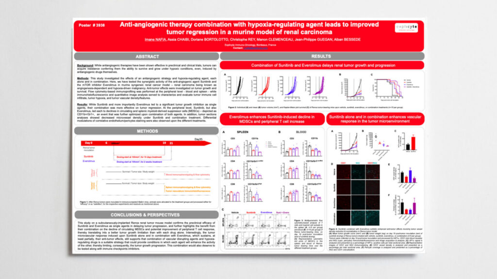 Anti-angiogenic therapy combination with hypoxia-regulating agent leads to improved tumor regression in a murine model of renal carcinoma