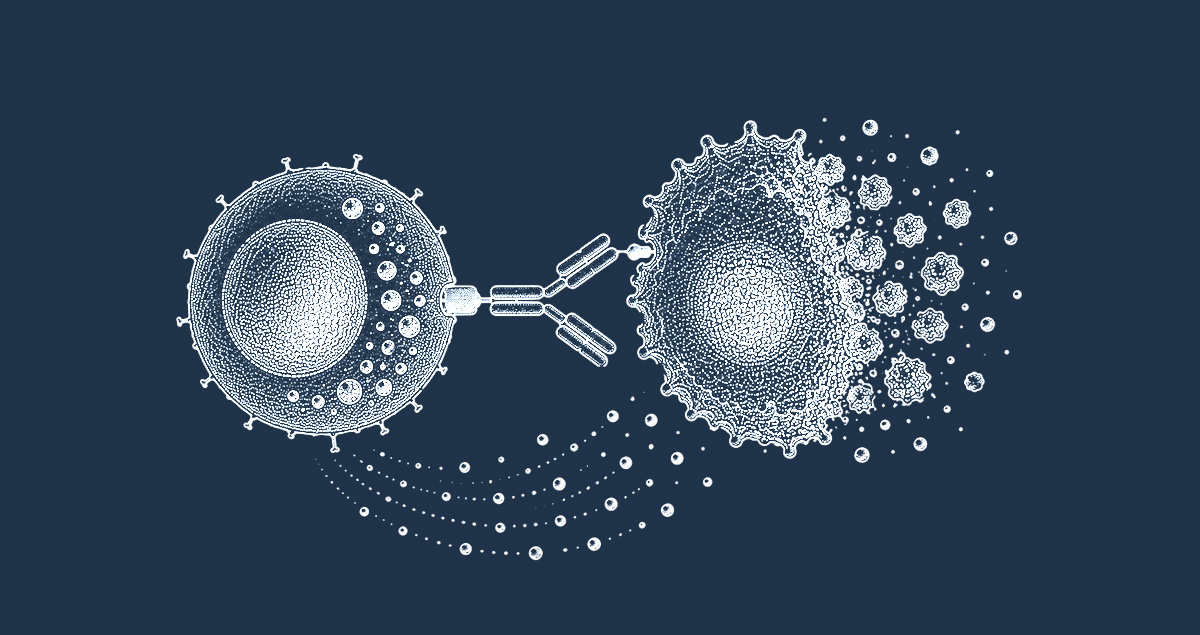 ADCC assay CRO services