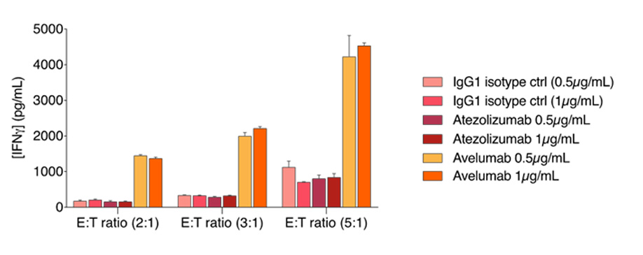 NK-mediated killing of MDA-MB-231 triple-negative breast cancer cells treated with avelumab