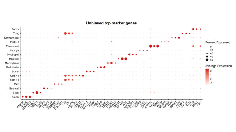 Chromium X scRNA-seq Bioinformatics and Data Interpretation