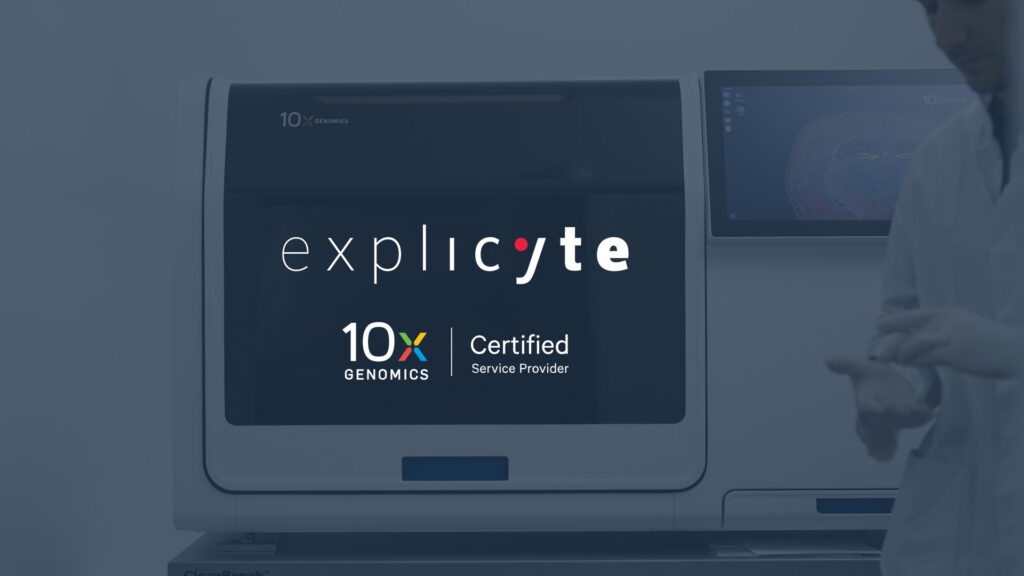 Single-Cell Spatial Biology: Explicyte Becomes the First 10x Genomics-Certified Service Provider in France for Xenium studies