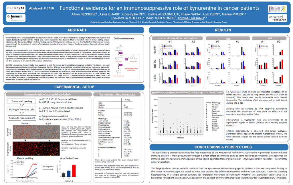 Functional evidence for an immunosuppressive role of kynurenine in cancer patients