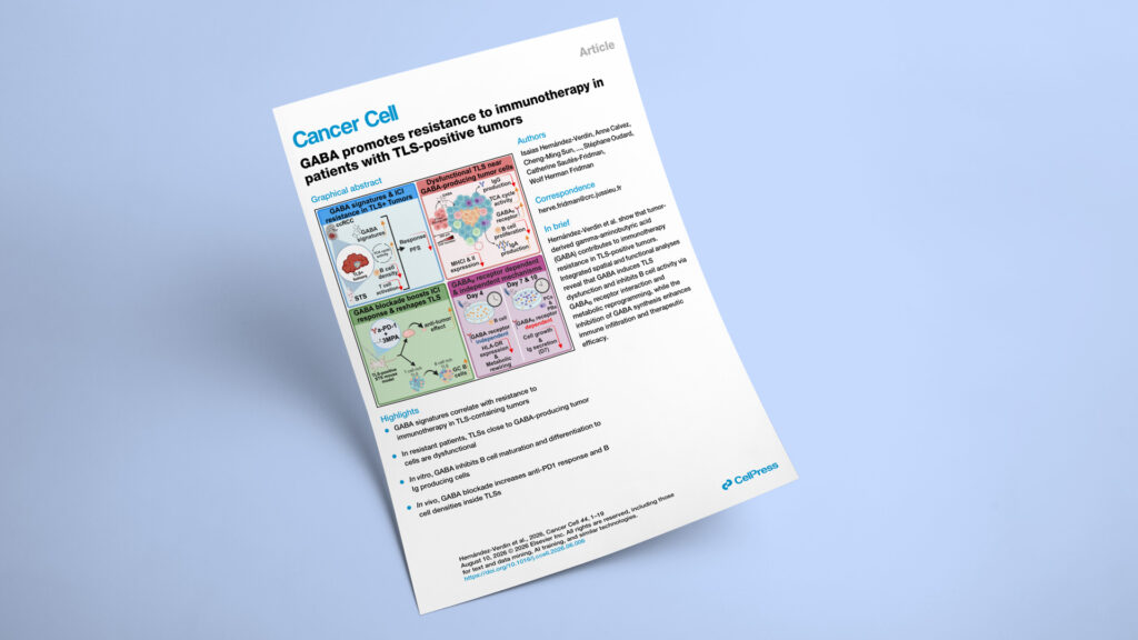 How tumor-derived GABA disables tumor TLSs and drives anti-PD-1 resistance in cancer