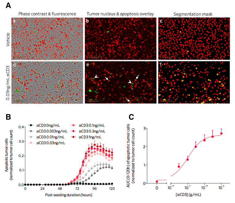 Immune cell-mediated killing of H1299 lung cancer cells in the presence of various concentrations of aCD3