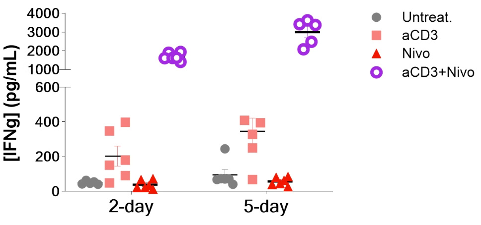 Immune-native CRC fragments are functionally responsive to immunotherapy