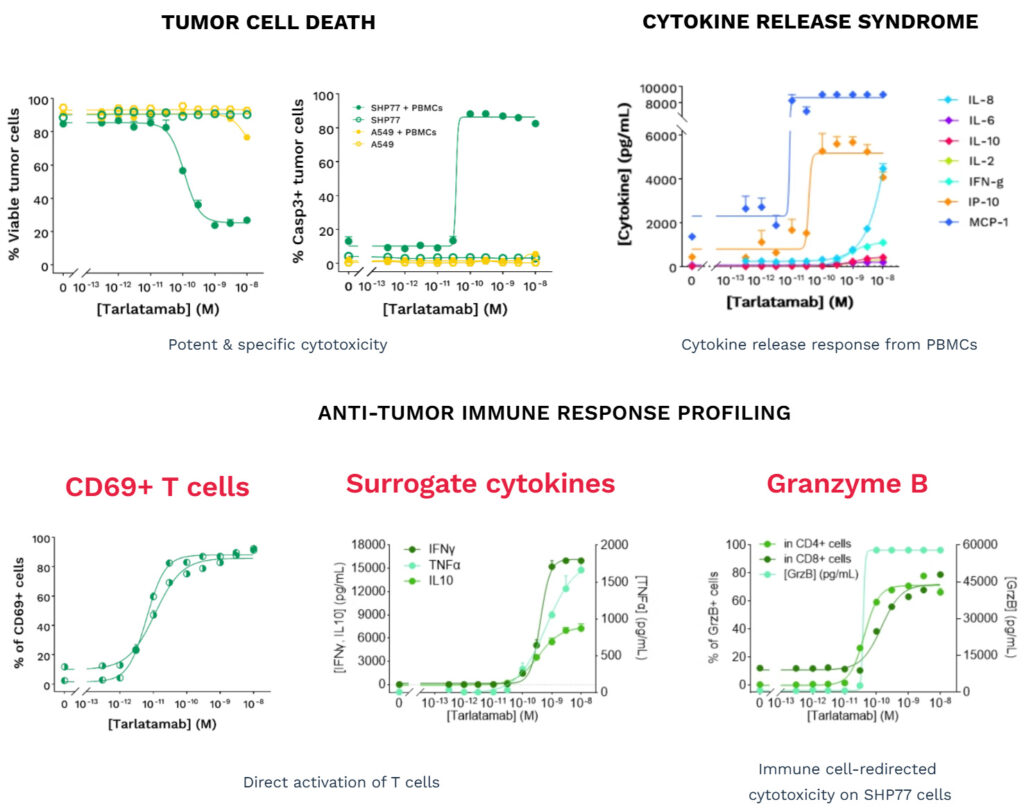 In vitro profiling of DLL3-targeted BiTE Tarlatamab