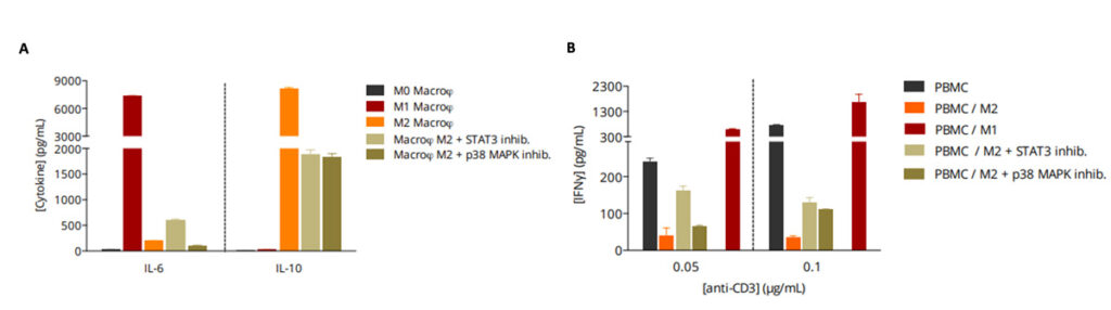 STAT3 and p38 MAPK inhibition repolarize M2 macrophages and restore IFN-γ