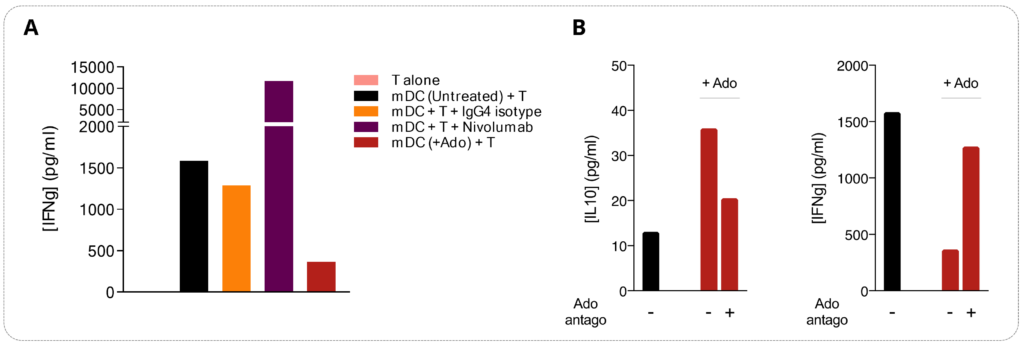 Phenotype and functional activity of adenosine-differentiated human DCs.