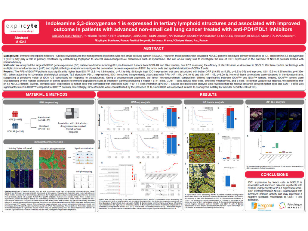 Indoleamine 2,3-dioxygenase 1 is expressed in tertiary lymphoid structures and associated with improved outcome in patients with advanced non-small cell lung cancer treated with anti-PD1/PDL1 inhibitors
