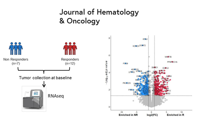 RNA-seq differential gene expression analysis volcano plot