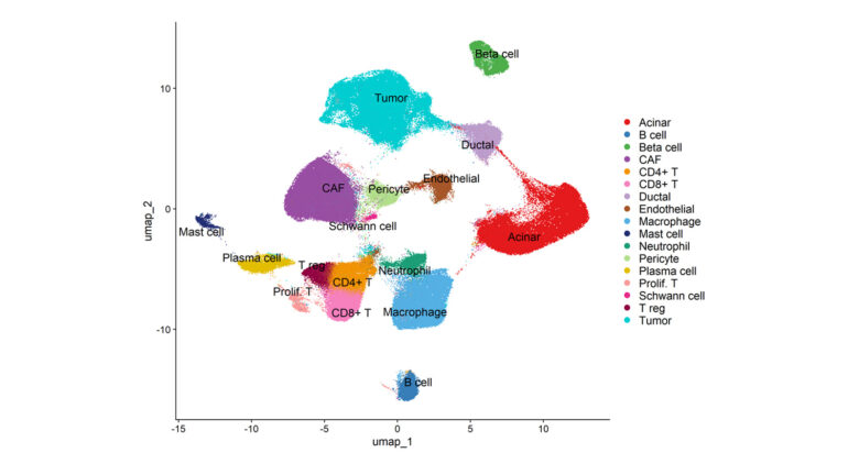 Single Cell Transcriptomics Data Analysis from Chromium X