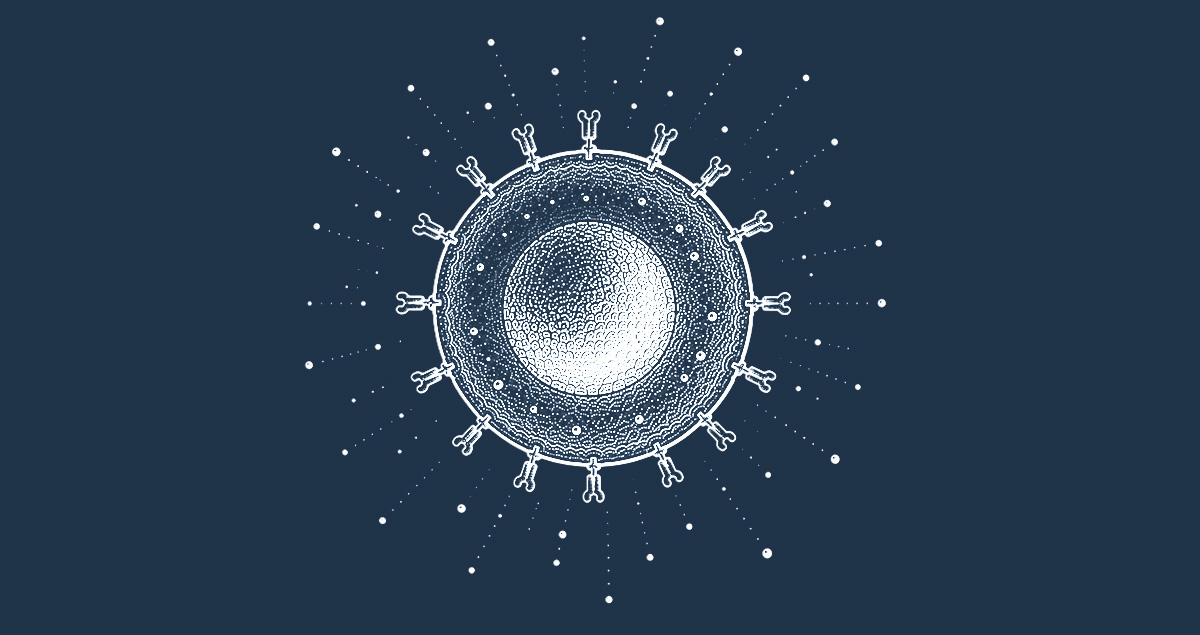 Immune cell activation assay