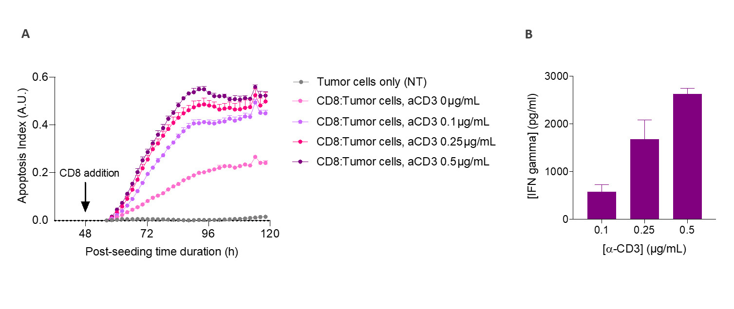 T-cell killing assay CRO in vitro screening CD8 T A375 melanoma cells