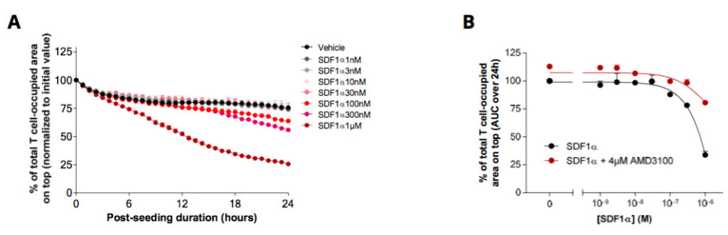 T-cell chemotaxis assay: SDF1α dose-response reversed by the CXCR4 inhibitor AMD-3100