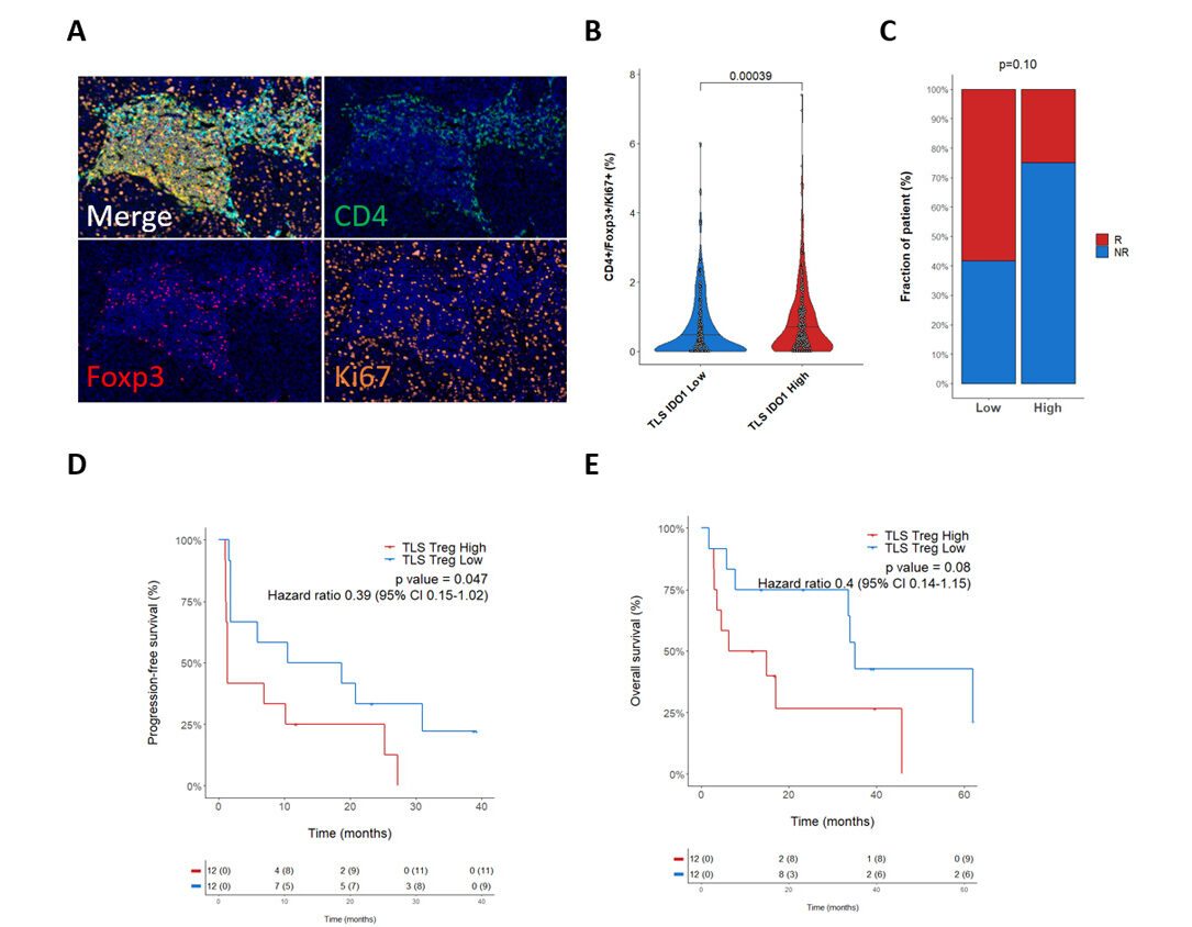 Tailored bioinformatic analysis pathology marker expression object measurement density analysis and correlation with metadata