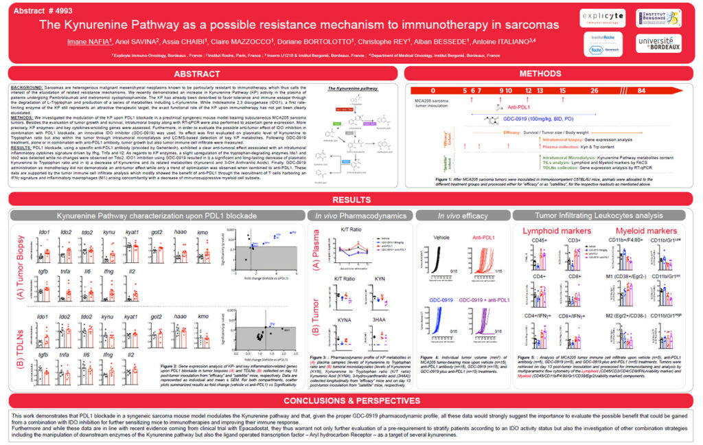 The Kynurenine Pathway as a possible resistance mechanism to immunotherapy in sarcomas