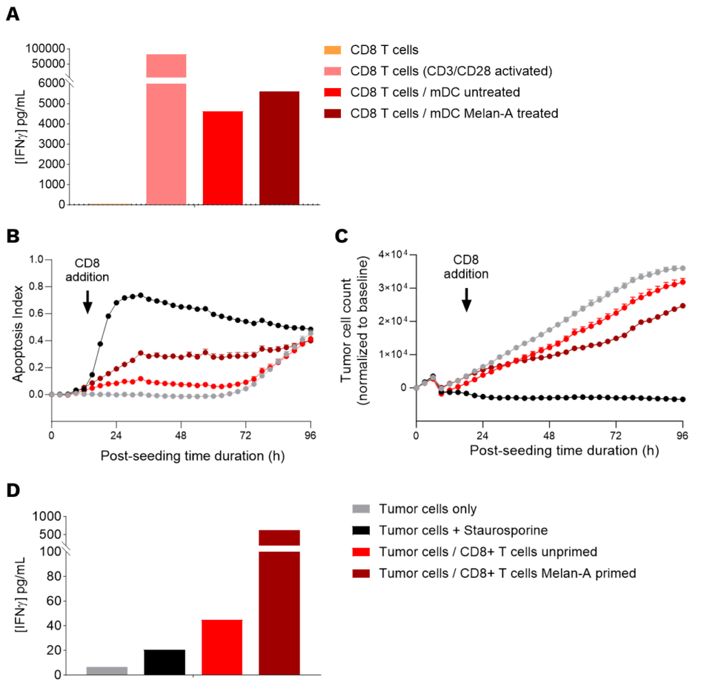 enhancement of DC antigen presentation T-cell killing assay