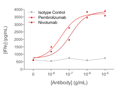 Dose-response of IFN-γ release from anti-CD3-activated PBMCs treated with nivolumab or pembrolizumab