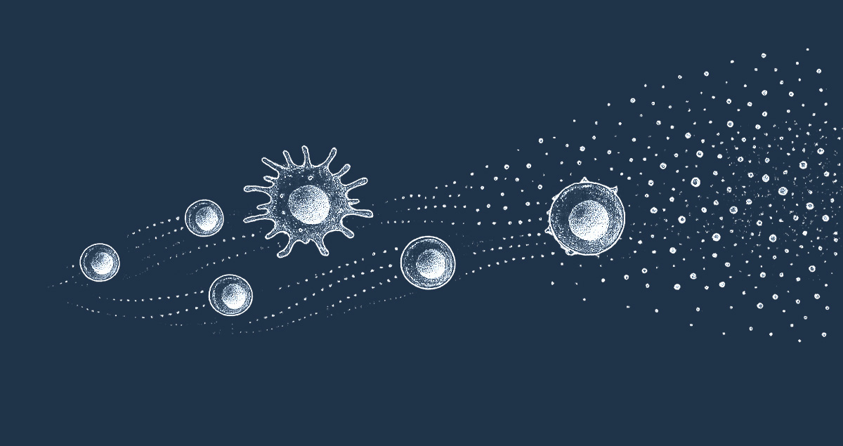Immune cell migration assays cro services