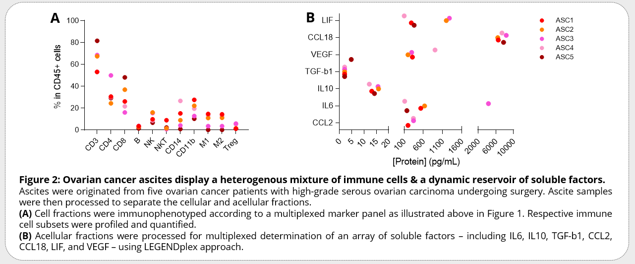 immune profiling ascites
