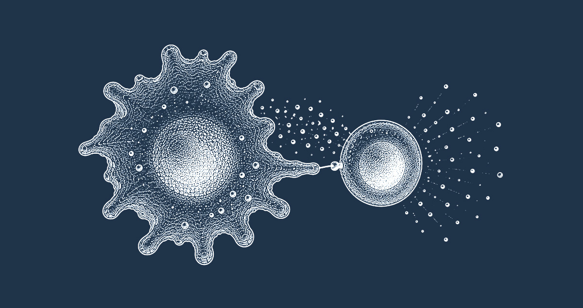 Macrophage assays CRO services