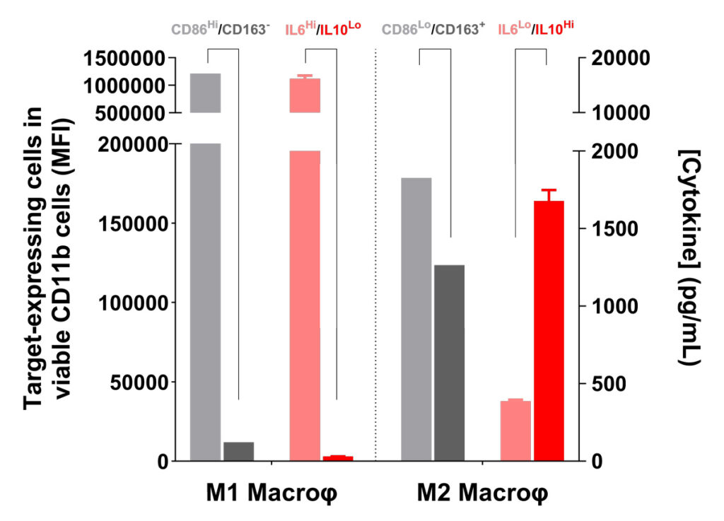 Flow cytometry marker expression and cytokine profile of M1 and M2 macrophages