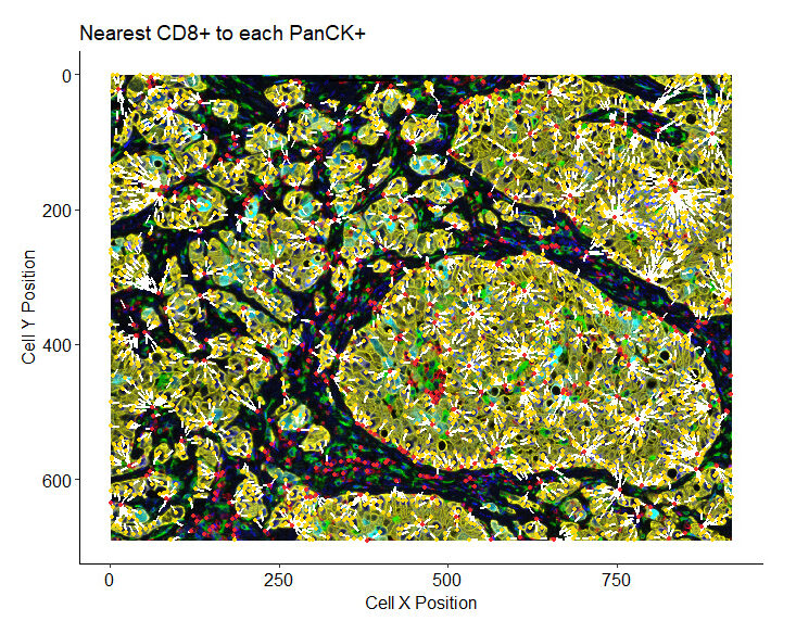 nearest neighbour analysis CRO oncology