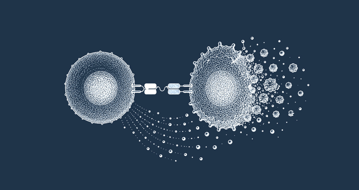 t-cell mediated tumor kiling assay CRO services