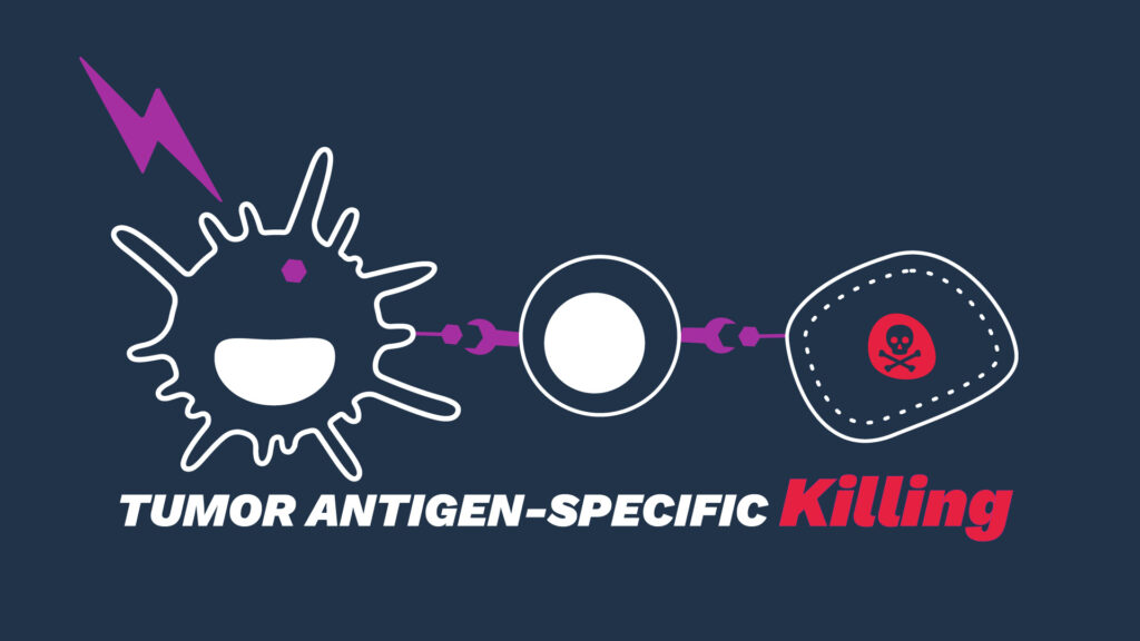 A DC-mediated killing assay for cancer vaccines, oncolytic viruses, and immune adjuvants