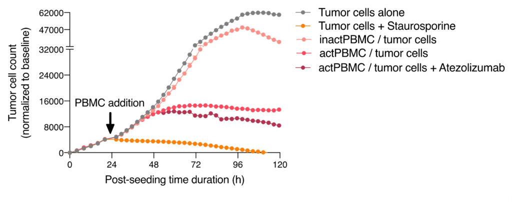Atezo promotes anti-tumor immune cell-mediated activity