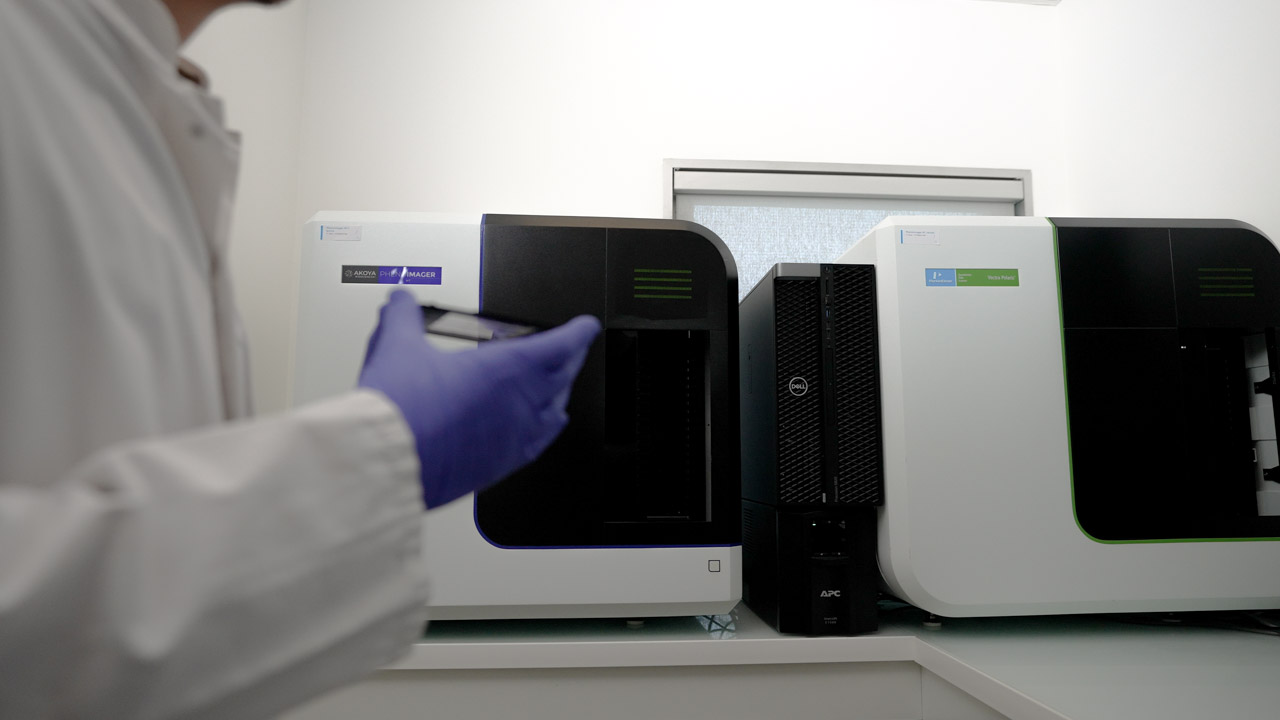Automated IHC multiplex IF staining and digital slide imaging
