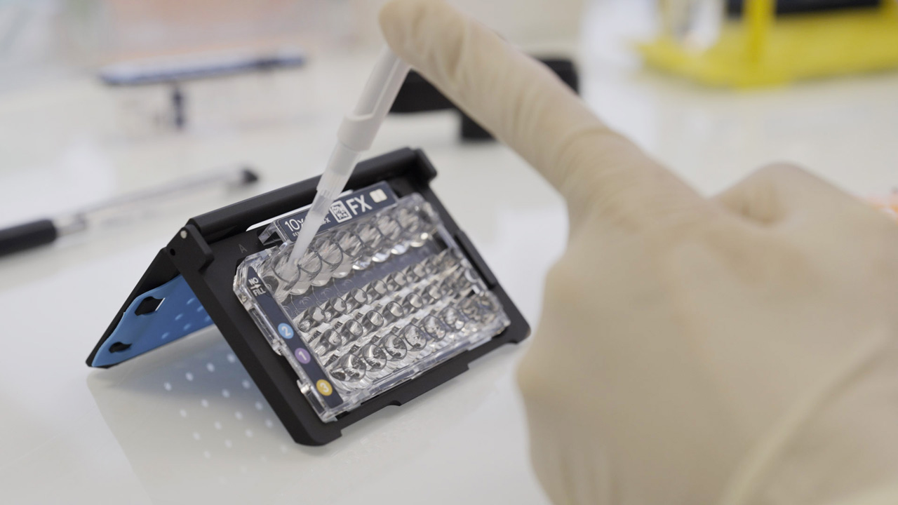 Explicyte technician preparing dissociated tissue samples for Chromium X single-cell RNA-seq