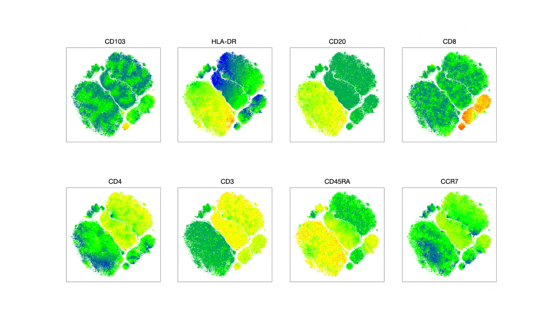 High-dimensional immune-cell visualization from a flow cytometry dataset analyzed by Explicyte